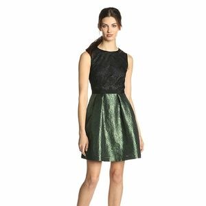 Alice Lace and Jacquard Flare Dress in Evergreen